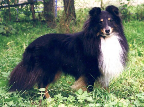 1 Filip Mandlok (20).jpg